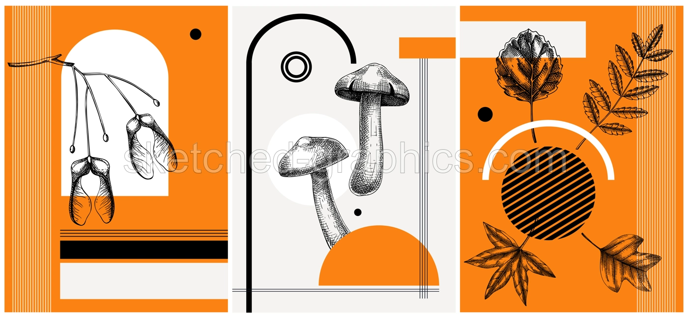 Collage style autumn vector illustration. Sketched leaves and dried flowers. Trendy fall design with botanical, geometric shapes, and abstract elements. For print, poster, card, social media Illustration